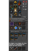 Paladin Set Level 100+