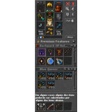 Paladin Set Level 100+